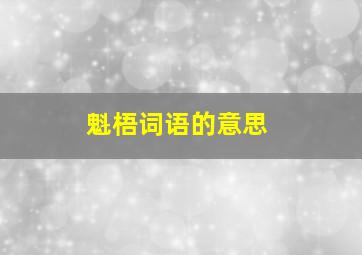 魁梧词语的意思