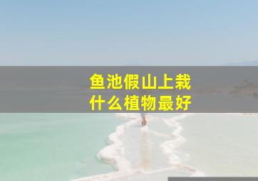 鱼池假山上栽什么植物最好