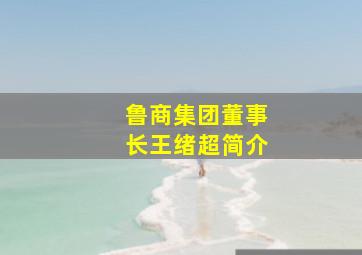 鲁商集团董事长王绪超简介