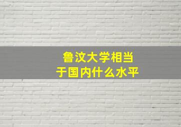 鲁汶大学相当于国内什么水平