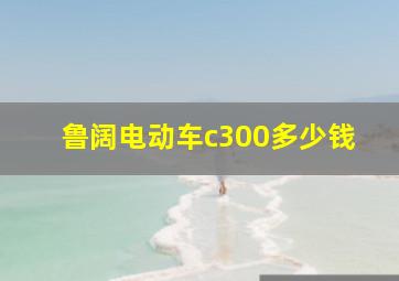 鲁阔电动车c300多少钱