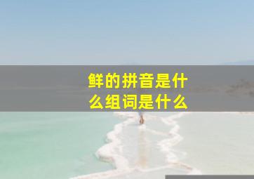 鲜的拼音是什么组词是什么