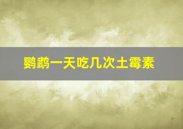 鹦鹉一天吃几次土霉素