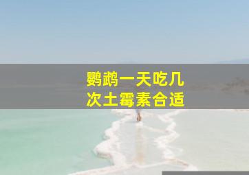 鹦鹉一天吃几次土霉素合适