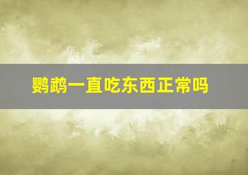 鹦鹉一直吃东西正常吗