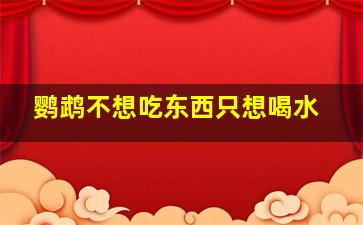 鹦鹉不想吃东西只想喝水