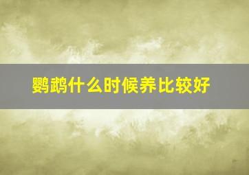 鹦鹉什么时候养比较好