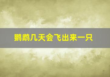 鹦鹉几天会飞出来一只