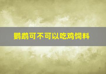 鹦鹉可不可以吃鸡饲料