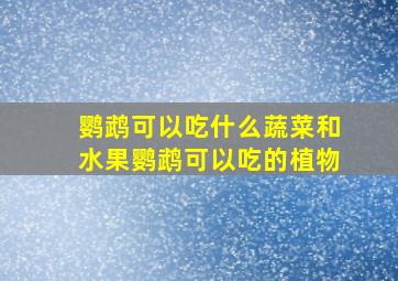 鹦鹉可以吃什么蔬菜和水果鹦鹉可以吃的植物