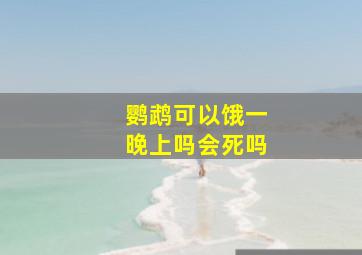 鹦鹉可以饿一晚上吗会死吗