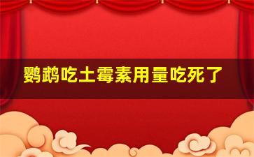 鹦鹉吃土霉素用量吃死了