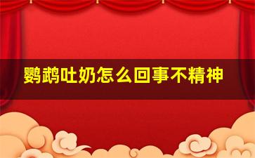 鹦鹉吐奶怎么回事不精神