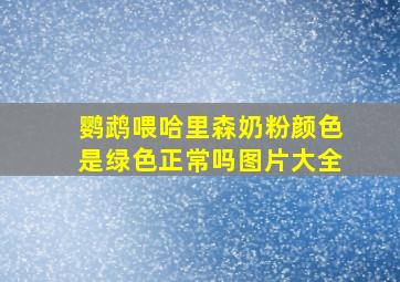 鹦鹉喂哈里森奶粉颜色是绿色正常吗图片大全