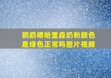 鹦鹉喂哈里森奶粉颜色是绿色正常吗图片视频