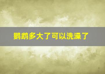 鹦鹉多大了可以洗澡了