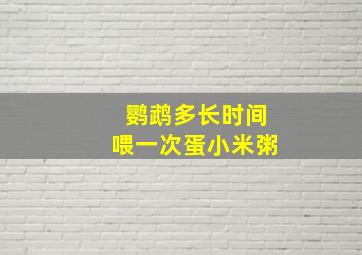 鹦鹉多长时间喂一次蛋小米粥