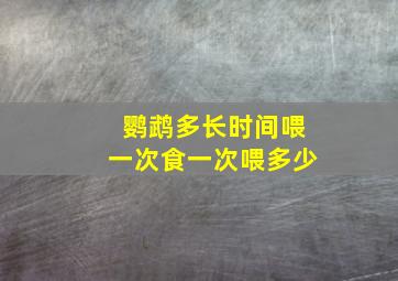 鹦鹉多长时间喂一次食一次喂多少