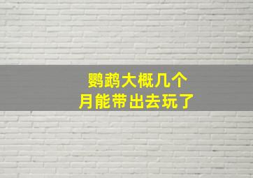 鹦鹉大概几个月能带出去玩了