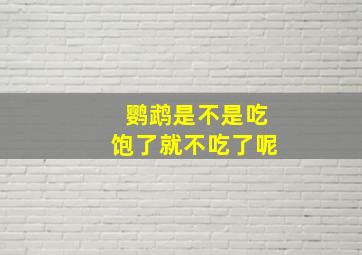 鹦鹉是不是吃饱了就不吃了呢