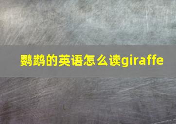 鹦鹉的英语怎么读giraffe