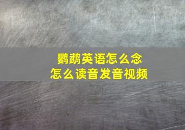 鹦鹉英语怎么念怎么读音发音视频