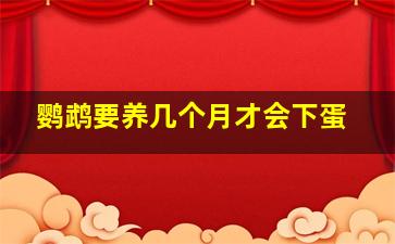 鹦鹉要养几个月才会下蛋