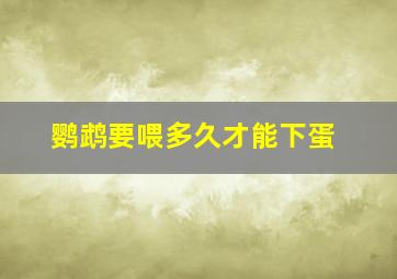 鹦鹉要喂多久才能下蛋