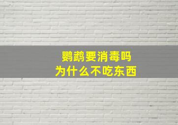 鹦鹉要消毒吗为什么不吃东西