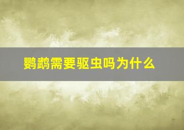 鹦鹉需要驱虫吗为什么