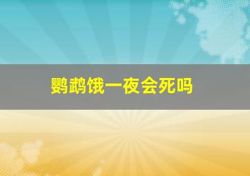 鹦鹉饿一夜会死吗