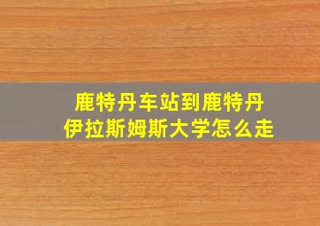 鹿特丹车站到鹿特丹伊拉斯姆斯大学怎么走