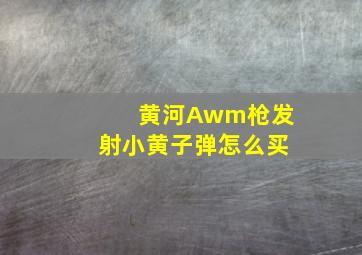 黄河Awm枪发射小黄子弹怎么买