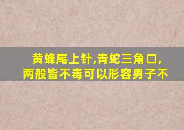 黄蜂尾上针,青蛇三角口,两般皆不毒可以形容男子不