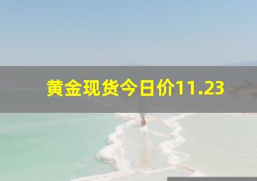 黄金现货今日价11.23