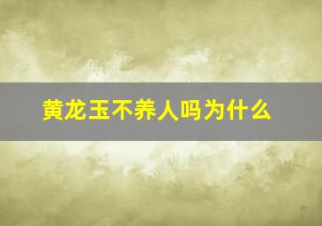 黄龙玉不养人吗为什么