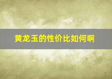 黄龙玉的性价比如何啊