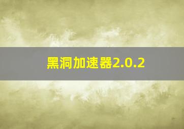 黑洞加速器2.0.2