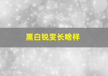 黑白锐雯长啥样