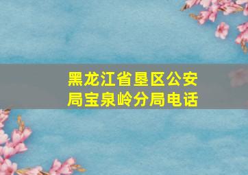 黑龙江省垦区公安局宝泉岭分局电话