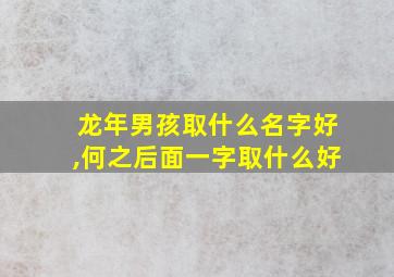 龙年男孩取什么名字好,何之后面一字取什么好