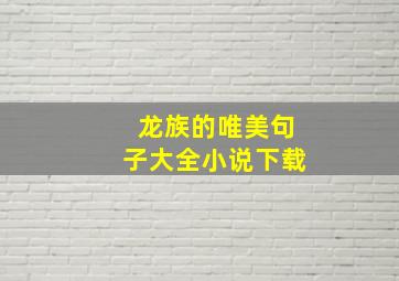 龙族的唯美句子大全小说下载