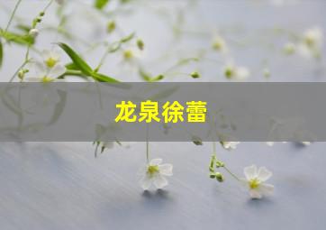 龙泉徐蕾