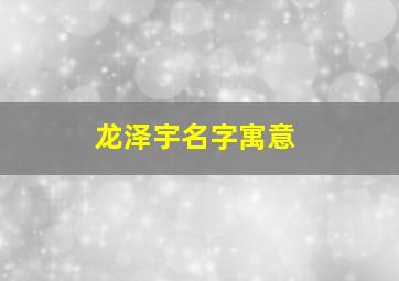 龙泽宇名字寓意