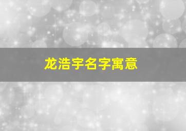 龙浩宇名字寓意