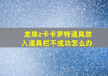 龙珠z卡卡罗特道具放入道具栏不成功怎么办