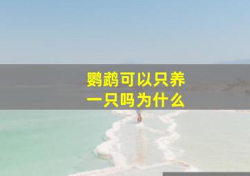 鹦鹉可以只养一只吗为什么